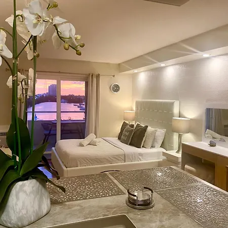 Modern Waterfront Apartment With Miami Skyline View, Free Parking 5 Mins Drive To Miami Beach